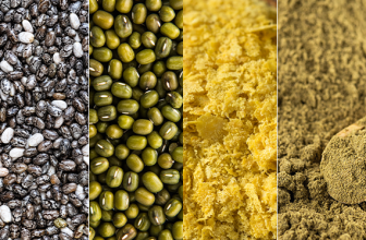 Plant Based Protein Sources