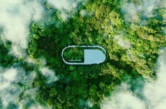 Top 5 Greens Supplements of 2022